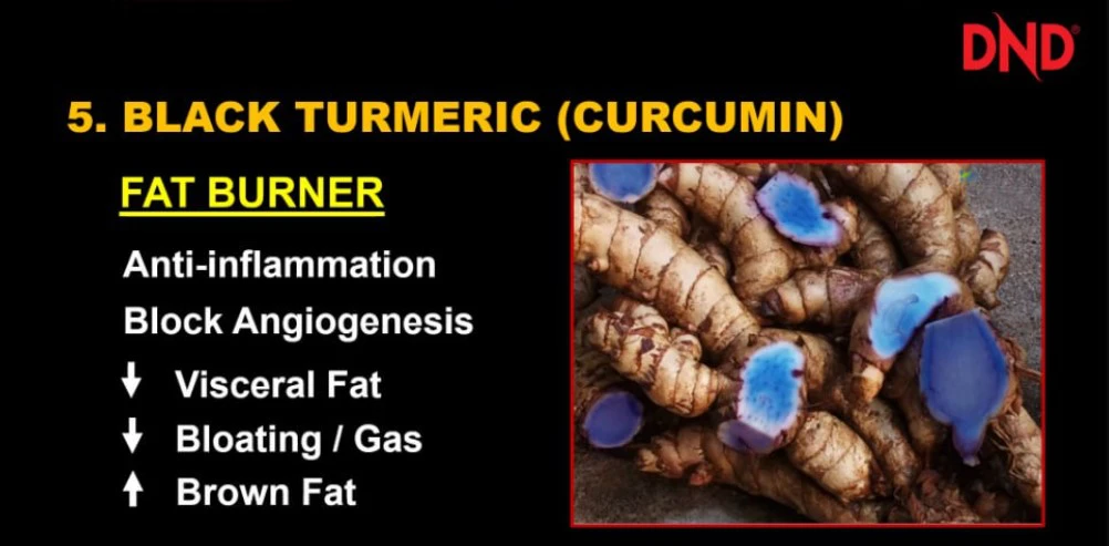 Poster penerangan produk Kandungan DND Lite Black Turmeric Curcumin
