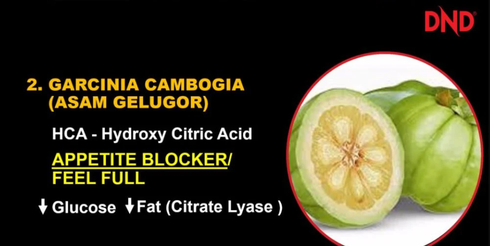 Poster penerangan produk Kandungan DND Lite Garcinia Cambogia Asam Gelugor