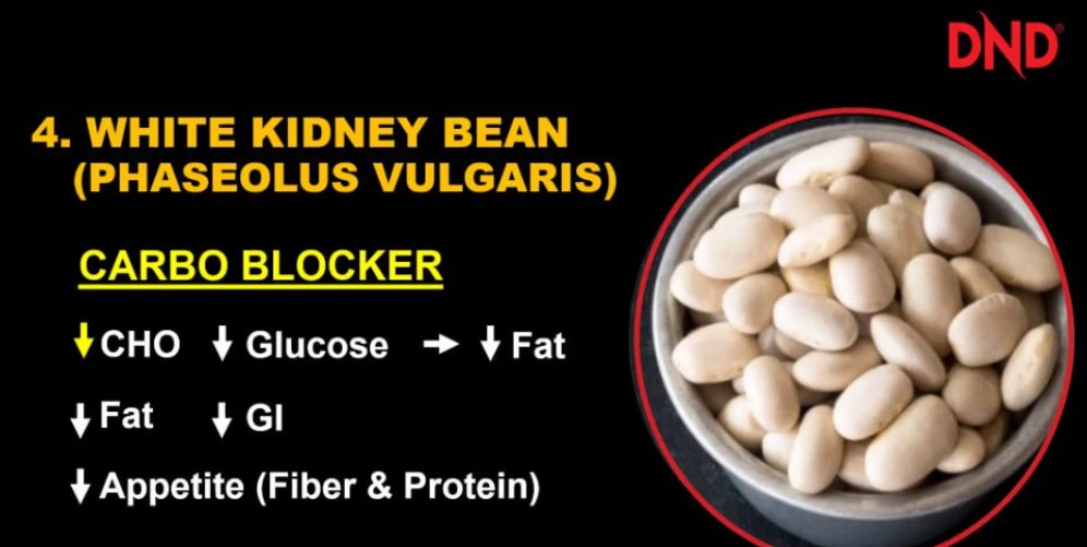 Poster penerangan produk Kandungan DND Lite White Kidney Beans Phaseolus Vulgaris